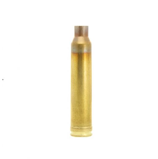 Lapua .300 Winchester Magnum Hulzen