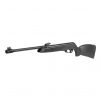 Gamo Black Bear