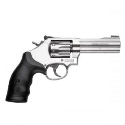 Smith & Wesson 617 4